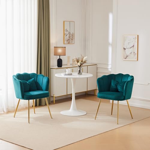 2er-Set Samtstühle in Muschelform, Moderner Akzentstuhl mit Rückenlehne & goldenen Metallbeinen – Elegante Lounge Stühle für Wohnzimmer, Schlafzimmer & Schminktisch von Merax