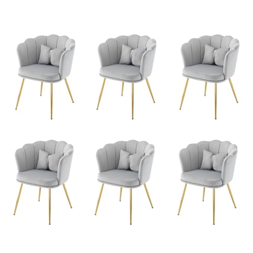 6er-Set Samtstühle in Muschelform, Moderner Akzentstuhl mit Rückenlehne & goldenen Metallbeinen – Stilvolle Esszimmerstühle & Lounge Stühle für Ihr Zuhause von Merax
