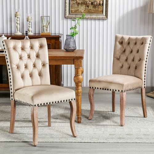 Merax Esszimmerstühle 2er-Set, Küchenstuhl, Polsterstuhl, Dining Chair,bequemer Stuhl aus Samt, Gestell aus Massivholz, Armlehnenstuhl für Esszimmer Wohnzimmer, mit Samtbezug, Helles Kamel Merax Esszimmerstühle 2er-Set, Küchenstuhl, Polsterstuhl, Dining Chair,bequemer Stuhl aus Samt, Gestell aus Massivholz, Armlehnenstuhl für Esszimmer Wohnzimmer, mit Samtbezug, Helles Kamel von Merax