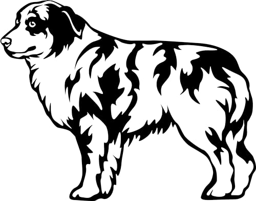 Autoaufkleber/Sticker/für Innen und Außen 28 cm schwarz Australian Shepherd 01 Autoaufkleber/Sticker/für Innen und Außen 28 cm schwarz Australian Shepherd 01 von Merchandise for Fans