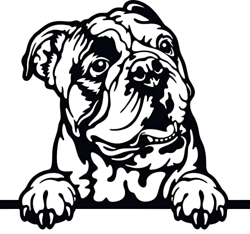 Autoaufkleber/Sticker/für Innen und Außen 28 cm schwarz Englische Bulldogge 04 Autoaufkleber/Sticker/für Innen und Außen 28 cm schwarz Englische Bulldogge 04 von Merchandise for Fans
