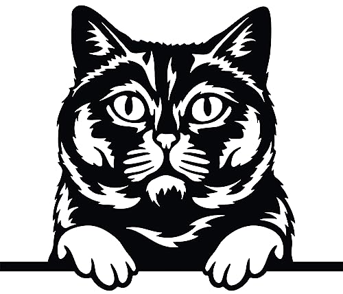 Autoaufkleber/Sticker/für Innen und Außen 28 cm schwarz Katze Kätzchen Britisch Kurzhaar von Merchandise for Fans