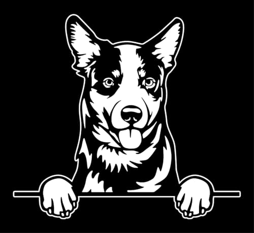 Autoaufkleber/Sticker/für Innen und Außen 28 cm weiß Australian Cattle Dog 03 von Merchandise for Fans