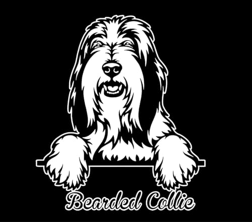 Autoaufkleber/Sticker/für Innen und Außen 28 cm weiß Bearded Collie 01 von Merchandise for Fans