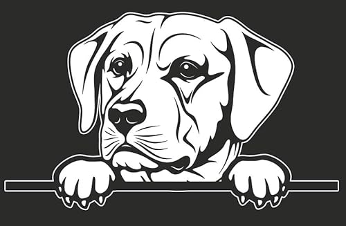 Autoaufkleber/Sticker/für Innen und Außen 28 cm weiß Hund Labrador Retriever 05 von Merchandise for Fans