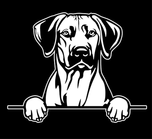 Autoaufkleber/Sticker/für Innen und Außen 28 cm weiß Rhodesian Ridgeback 01 von Merchandise for Fans