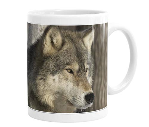 Merchandise for Fans Becher aus Keramik - 330 ml Motiv: Wolf/Grauwolf Porträt (01) von Merchandise for Fans