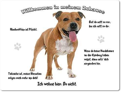 Blechschild/Warnschild/Türschild - Aluminium - 15x20cm - - Willkommen in Meinem Zuhause - Motiv: American Staffordshire Terrier - 08 Blechschild/Warnschild/Türschild - Aluminium - 15x20cm - - Willkommen in Meinem Zuhause - Motiv: American Staffordshire Terrier - 08 von Merchandise for Fans