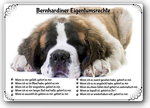 Blechschild/Warnschild/Türschild - Aluminium - 20x30cm Eigentumsrechte Motiv: Bernhardiner (01) von Merchandise for Fans