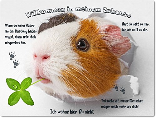 Blechschild/Warnschild/Türschild - Aluminium - 20x30cm - - Willkommen in Meinem Zuhause - Motiv: Meerschweinchen Sieht durch Loch in der Wand - 06 von Merchandise for Fans