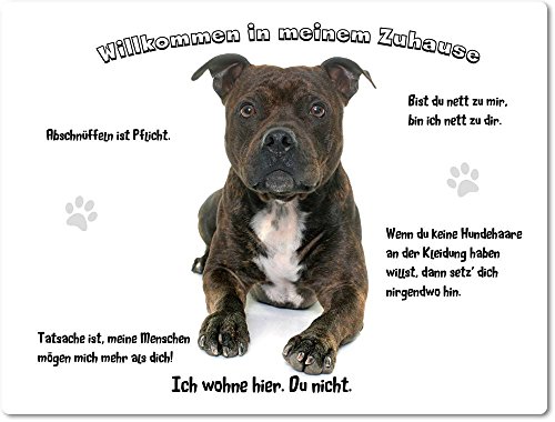 Blechschild/Warnschild/Türschild - Aluminium - 30x40cm - - Willkommen in Meinem Zuhause - Motiv: American Staffordshire Terrier braun liegend - 06 von Merchandise for Fans