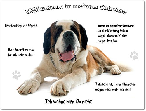 Blechschild/Warnschild/Türschild - Aluminium - 30x40cm - - Willkommen in Meinem Zuhause - Motiv: Bernhardiner liegend Porträt - 02 von Merchandise for Fans