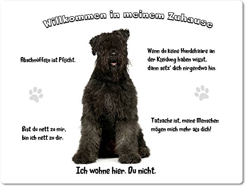 Blechschild/Warnschild/Türschild - Aluminium - 30x40cm - - Willkommen in Meinem Zuhause - Motiv: Bouvier des Flandres Porträt - 01 Blechschild/Warnschild/Türschild - Aluminium - 30x40cm - - Willkommen in Meinem Zuhause - Motiv: Bouvier des Flandres Porträt - 01 von Merchandise for Fans