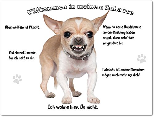Blechschild / Warnschild / Fun Türschild - "Willkommen in meinem Zuhause" - Motiv: Chihuahua fletscht die Zähne 20x30cm -- 02 von Merchandise for Fans