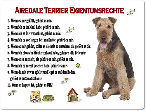 Merchandise for Fans Blechschild/Warnschild/Türschild - Aluminium - 15x20cm Eigentumsrechte Motiv: Airedale Terrier (01) von Merchandise for Fans