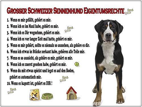Merchandise for Fans Blechschild/Warnschild/Türschild - Aluminium - 15x20cm Eigentumsrechte Motiv: Großer Schweizer Sennenhund stehend (08) von Merchandise for Fans