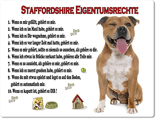 Blechschild / Warnschild / Türschild - Aluminium - 20x30cm "Eigentumsrechte" Motiv: American Staffordshire Terrier braun sitzend - 03 von Merchandise for Fans