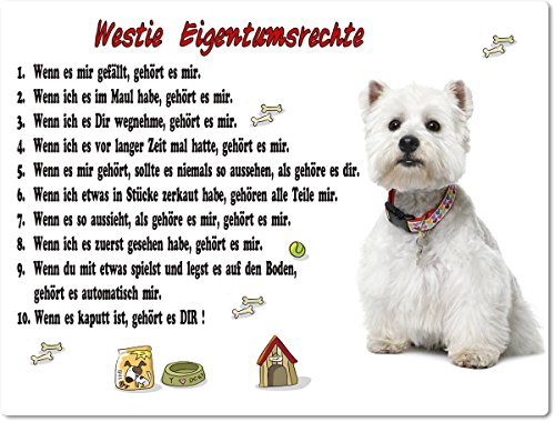 Blechschild / Warnschild / Türschild - Aluminium - 20x30cm "Eigentumsrechte" Motiv: West Highland White Terrier (01) von Merchandise for Fans