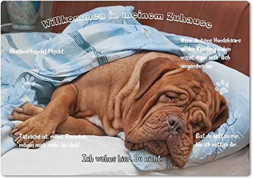 Merchandise for Fans Blechschild/Warnschild/Türschild - Aluminium - 20x30cm - - Willkommen in Meinem Zuhause - Motiv: Bordeaux Dogge/Französischer Mastiff - 16 Merchandise for Fans Blechschild/Warnschild/Türschild - Aluminium - 20x30cm - - Willkommen in Meinem Zuhause - Motiv: Bordeaux Dogge/Französischer Mastiff - 16 von Merchandise for Fans