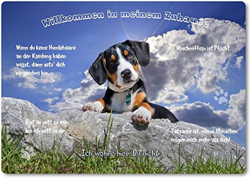 Merchandise for Fans Blechschild/Warnschild/Türschild - Aluminium - 20x30cm - - Willkommen in Meinem Zuhause - Motiv: Entlebucher Sennenhund - 14 Merchandise for Fans Blechschild/Warnschild/Türschild - Aluminium - 20x30cm - - Willkommen in Meinem Zuhause - Motiv: Entlebucher Sennenhund - 14 von Merchandise for Fans