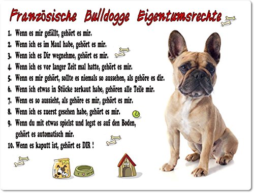 Blechschild / Warnschild / Türschild - Aluminium - 30x20cm "Eigentumsrechte" Motiv: Französische Bulldogge (08) von Merchandise for Fans