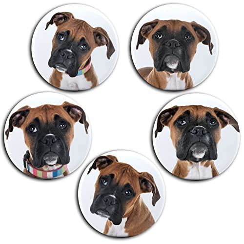 Boxer Hund Porträt - 6 große Kühlschrankmagnete [ 01 ] für Memoboard Pinnwand Magnettafel Whiteboard von Merchandise for Fans