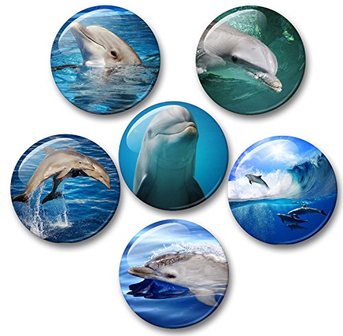 Delfin Delfine Meerestiere - 6 große Kühlschrankmagnete [ 01 ] von Merchandise for Fans