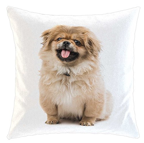 Kissen/weiches Kuschelkissen mit Füllung 40x40cm - Motiv: Pekinese/Pekingese/Peking-Palasthund Welpe sitzend | 01 von Merchandise for Fans