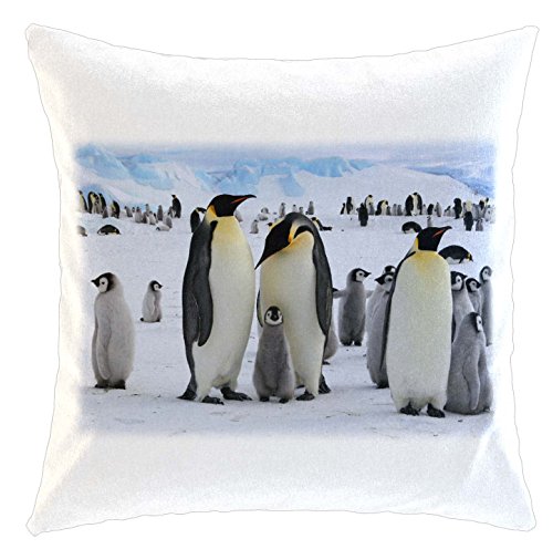 Kissen/weiches Kuschelkissen mit Füllung 40x40cm - Motiv: Pinguin Kolonie in der Antarktis | 005 von Xotify