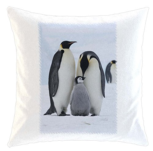 Kissen/weiches Kuschelkissen mit Füllung 40x40cm - Motiv: Pinguine in der Antarktis füttern Jungtier | 006 von Merchandise for Fans