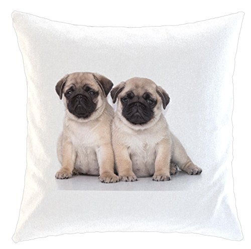 Kissen/weiches Kuschelkissen mit Füllung 40x40cm - Motiv: Mops zwei Welpen nebeneinander| 018 Kissen/weiches Kuschelkissen mit Füllung 40x40cm - Motiv: Mops zwei Welpen nebeneinander| 018 von Merchandise for Fans