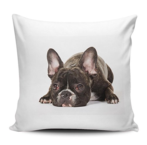 Merchandise for Fans Kissenhülle/Kissenbezug/Kuschelkissen - Motiv: Französische Bulldogge nachdenklich | 027 (ohne Füllung) von Merchandise for Fans