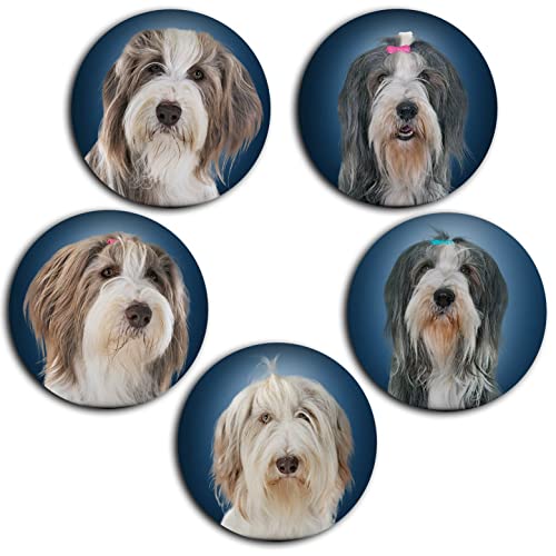 Merchandise for Fans Bearded Collie Hütehund - 6 große Kühlschrankmagnete [ 01 ] für Memoboard Pinnwand Magnettafel Whiteboard von Merchandise for Fans