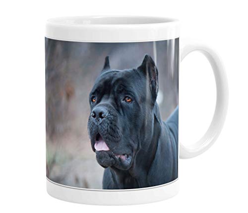 Merchandise for Fans Becher aus Keramik - 330 ml Motiv: Cane Corso/Italienischer Mastiff Porträt (07) von Merchandise for Fans