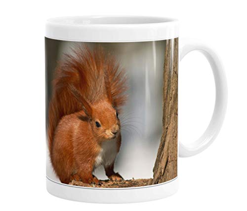 Merchandise for Fans Becher aus Keramik - 330 ml Motiv: Eichhörnchen (01) von Merchandise for Fans