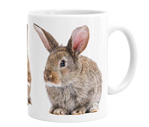 Merchandise for Fans Becher aus Keramik - 330 ml Motiv: Kaninchen zwei braune Jungtiere (02) von Merchandise for Fans