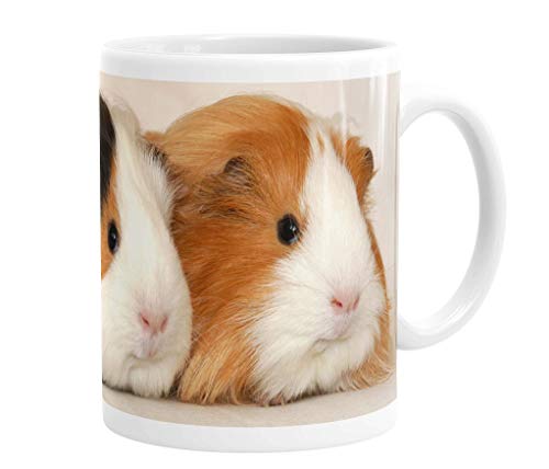 Merchandise for Fans Becher aus Keramik - 330 ml Motiv: Meerschweinchen Zwei Tiere nebeneinander Porträt (01) von Merchandise for Fans