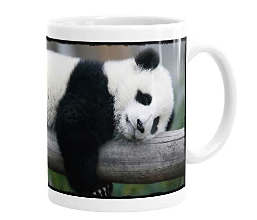 Merchandise for Fans Becher aus Keramik - 330 ml Motiv: Panda/Pandabär (01) von Merchandise for Fans
