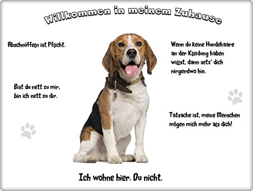 Merchandise for Fans Blechschild/Warnschild/Fun Türschild 20x30cm - Willkommen in Meinem Zuhause - Motiv: Beagle sitzend Tricolor - 03 von Merchandise for Fans