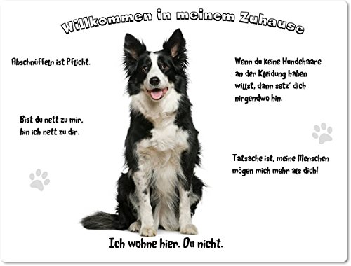 Merchandise for Fans Blechschild/Warnschild/Fun Türschild 20x30cm - Willkommen in unserem Zuhause - Motiv: Border Collie sitzend vor weißem Hintergrund - 02 Merchandise for Fans Blechschild/Warnschild/Fun Türschild 20x30cm - Willkommen in unserem Zuhause - Motiv: Border Collie sitzend vor weißem Hintergrund - 02 von Merchandise for Fans