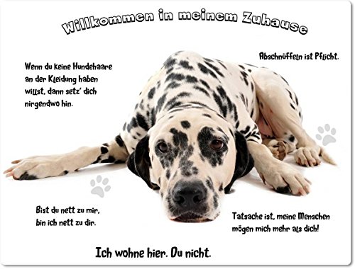 Merchandise for Fans Blechschild/Warnschild/Fun Türschild - Willkommen in Meinem Zuhause - Motiv: Dalmatiner liegend- 01 - (20x30cm) von Merchandise for Fans