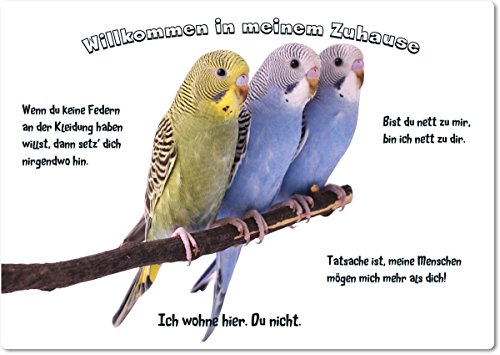 Merchandise for Fans Blechschild/Warnschild/Fun Türschild - Willkommen in Meinem Zuhause - Motiv: Wellensittich DREI Tiere auf der Stange - Größe: 20x30cm - 01 von Merchandise for Fans
