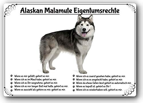 Merchandise for Fans Blechschild/Warnschild/Türschild - Aluminium - 15x20cm Eigentumsrechte Motiv: Alaskan Malamute (01) von Merchandise for Fans