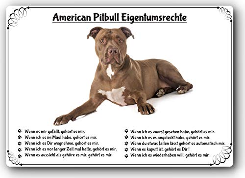 Merchandise for Fans Blechschild/Warnschild/Türschild - Aluminium - 15x20cm Eigentumsrechte Motiv: Pitbull Terrier (01) von Merchandise for Fans