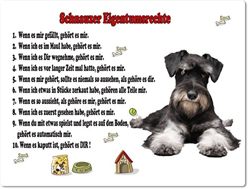 Merchandise for Fans Blechschild/Warnschild/Türschild - Aluminium - 15x20cm Eigentumsrechte Motiv: Schnauzer (01) von Merchandise for Fans