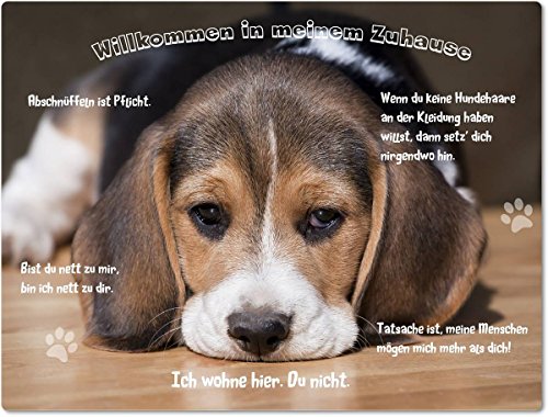Merchandise for Fans Blechschild/Warnschild/Türschild - Aluminium - 15x20cm - - Willkommen in Meinem Zuhause - Motiv: Beagle Welpe - 01 von Merchandise for Fans