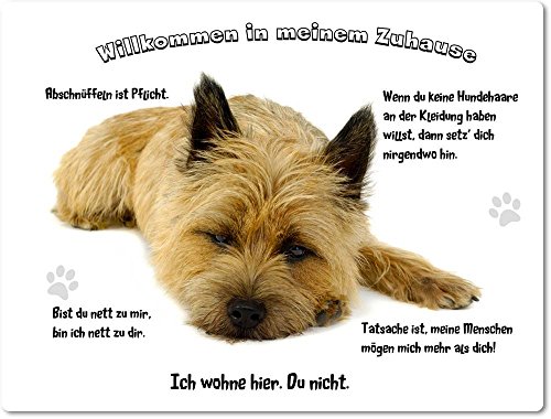 Merchandise for Fans Blechschild/Warnschild/Türschild - Aluminium - 15x20cm - - Willkommen in Meinem Zuhause - Motiv: Cairn Terrier Porträt - 03 von Merchandise for Fans