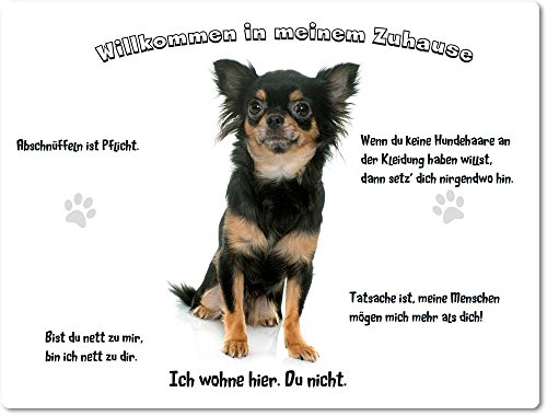 Merchandise for Fans Blechschild/Warnschild/Türschild - Aluminium - 15x20cm - - Willkommen in Meinem Zuhause - Motiv: Chihuahua vor weißem Hintergrund - 07 Merchandise for Fans Blechschild/Warnschild/Türschild - Aluminium - 15x20cm - - Willkommen in Meinem Zuhause - Motiv: Chihuahua vor weißem Hintergrund - 07 von Merchandise for Fans