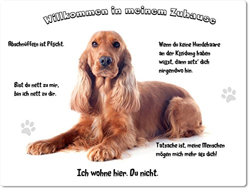 Merchandise for Fans Blechschild/Warnschild/Türschild - Aluminium - 15x20cm - - Willkommen in Meinem Zuhause - Motiv: Cocker Spaniel sitzend Porträt - 03 von Merchandise for Fans