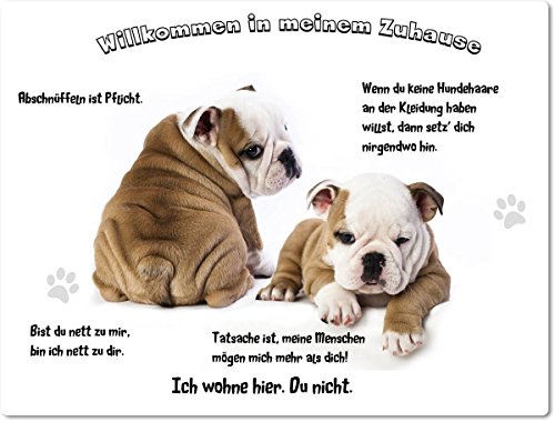 Merchandise for Fans Blechschild/Warnschild/Türschild - Aluminium - 15x20cm - - Willkommen in Meinem Zuhause - Motiv: Englische Bulldogge - 03 von Merchandise for Fans